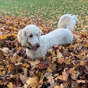 Meet your Posher, Duane